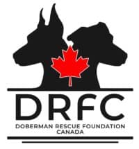 DRFC LOGO