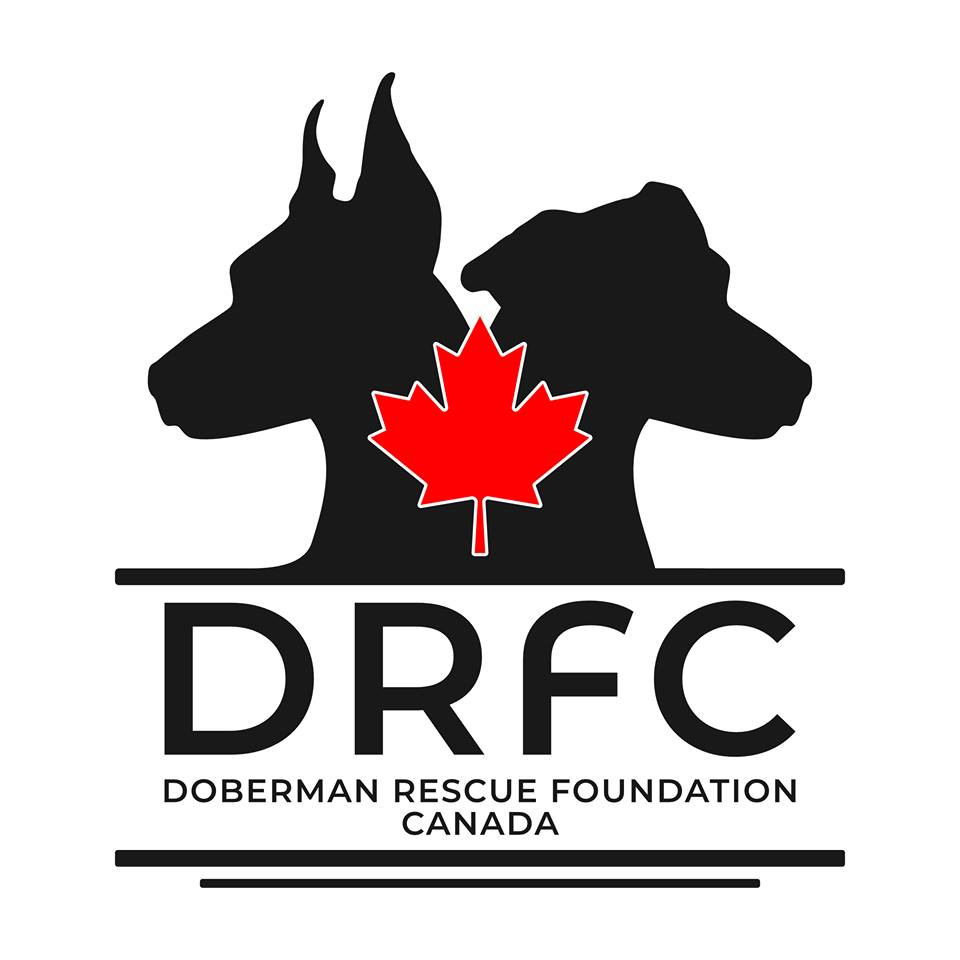 DRFC LOGO